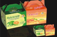 點(diǎn)擊放大